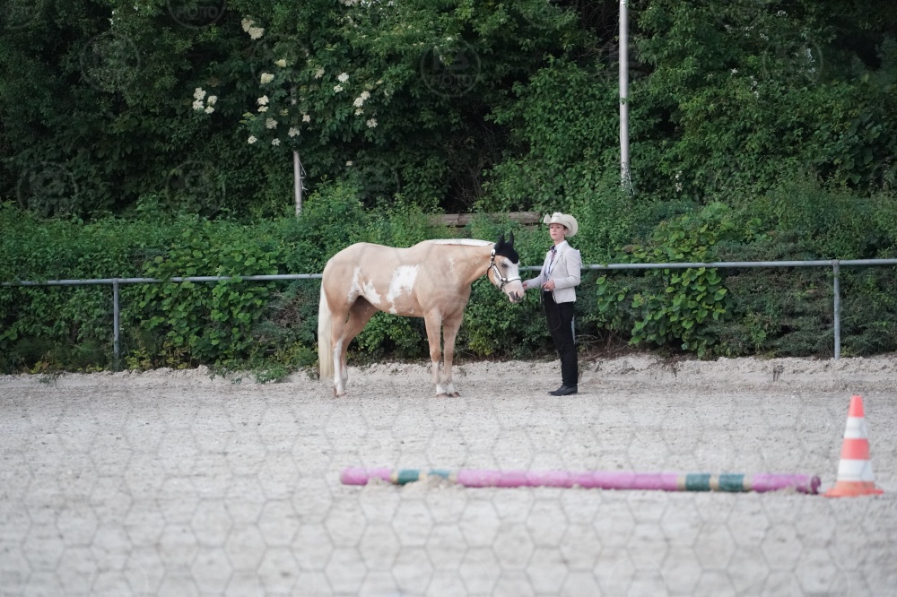 s_A9_05441.jpg